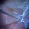 Cabecera_III